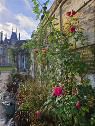 tourville-sur-arques (13)